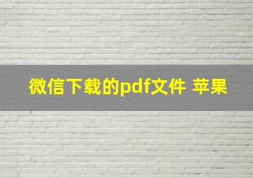 微信下载的pdf文件 苹果